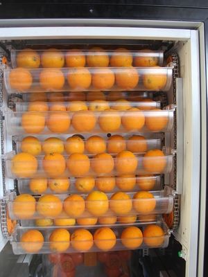 سردخانه یخچال فریزر تازه تکان دهنده ماشین آلات ودکمه آب پرتقال طول عمر
